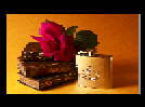 wp73d09a05.png